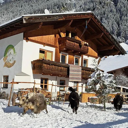 Permadieshof L Hostel